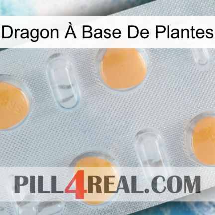 Dragon À Base De Plantes 24